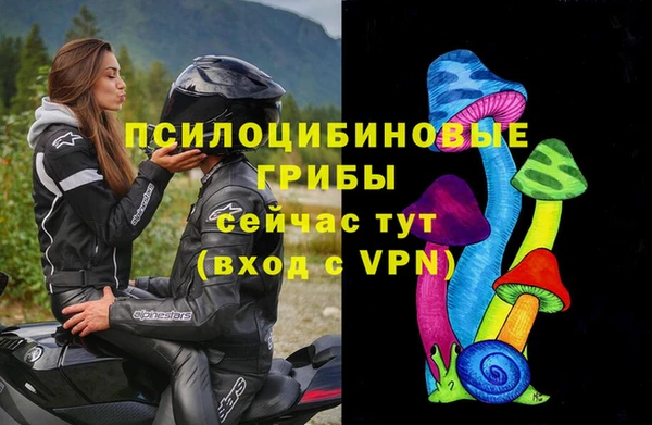 кокс Алзамай
