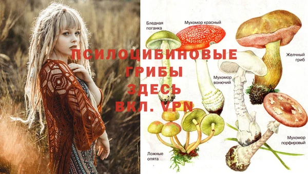 не бодяженный Алексеевка