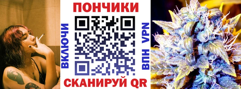 наркотики Ессентукская Шишки марихуана сатива
